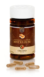Organo Gold Organic Mycelium