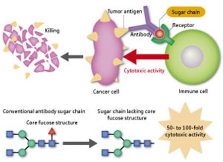 Exposing the potential of sugar chains for the diagnosis and treatment of disease