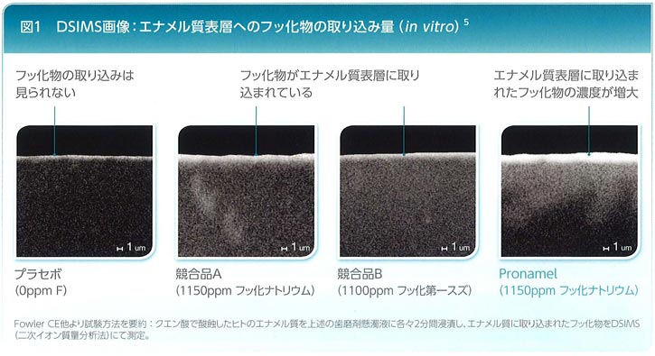 日常生活の"酸"から歯を守る