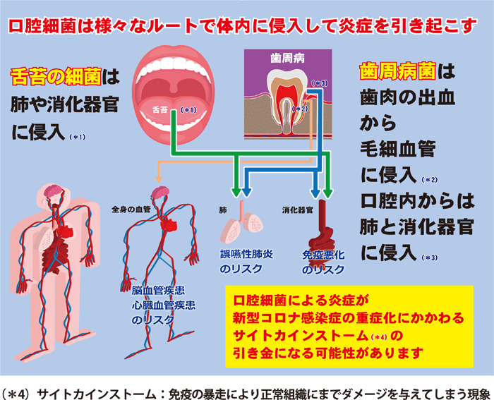 今、大切なこと！それはお口の健康です