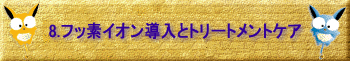 8.�t�b�f�C�I�������ƃg���[�g�����g�P�A