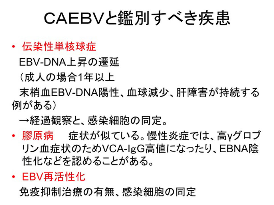 CAEBVƊӕʂׂ