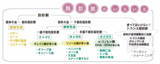 脂肪酸のいろいろ
