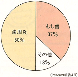 しっかりブラッシング