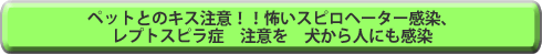 ペットとのキス注意！！怖いスピロヘーター感染、レプトスピラ症　注意を　犬から人にも感染　repo-to1359