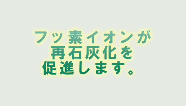 フッ素イオンが再石灰化を促進します