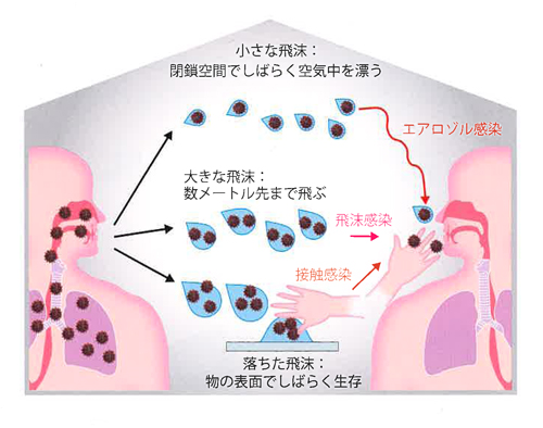 3つの感染経路