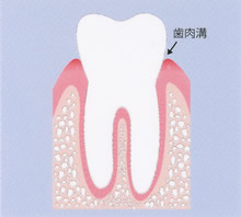 健康な状態