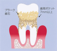 健康な状態