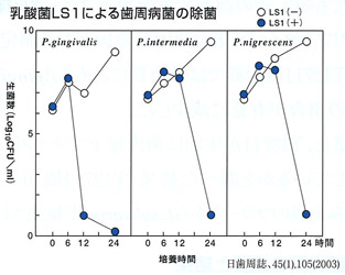 乳酸菌LS1による歯周病菌の除菌