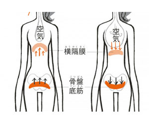 アデノイド顔貌図