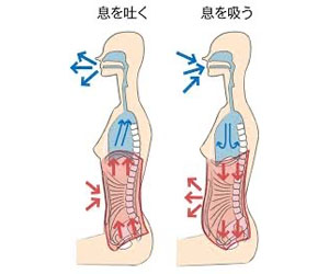 アデノイド顔貌図