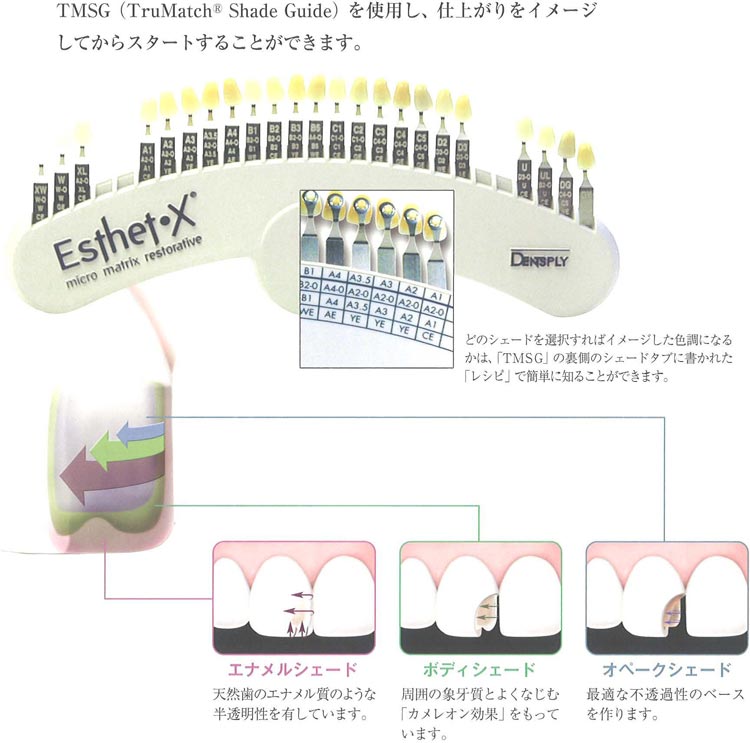 エステエックスHD