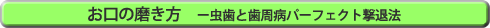 お口の磨き方　ー ムシ歯と歯周病パーフェクト撃退法 ー