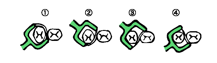 Xアクション