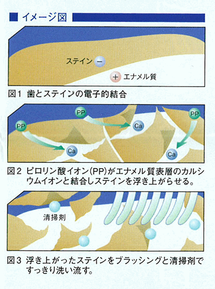 XeC𕂂オ点